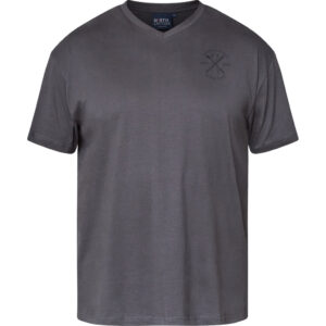 North Latitude T-shirt i Gråbrun med V-hals (Big)